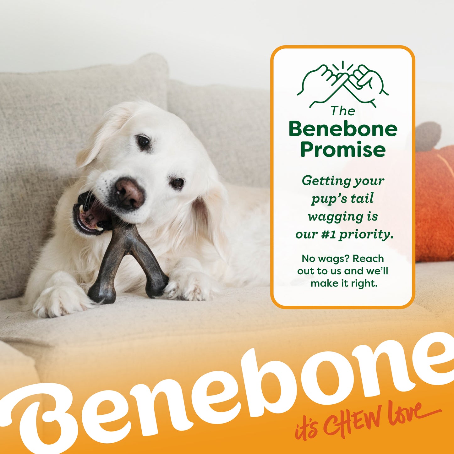 The Benebone Promise: Getting your pup's tail wagging is our #1 priority. No wags? Reach out to us and we'll make it right.