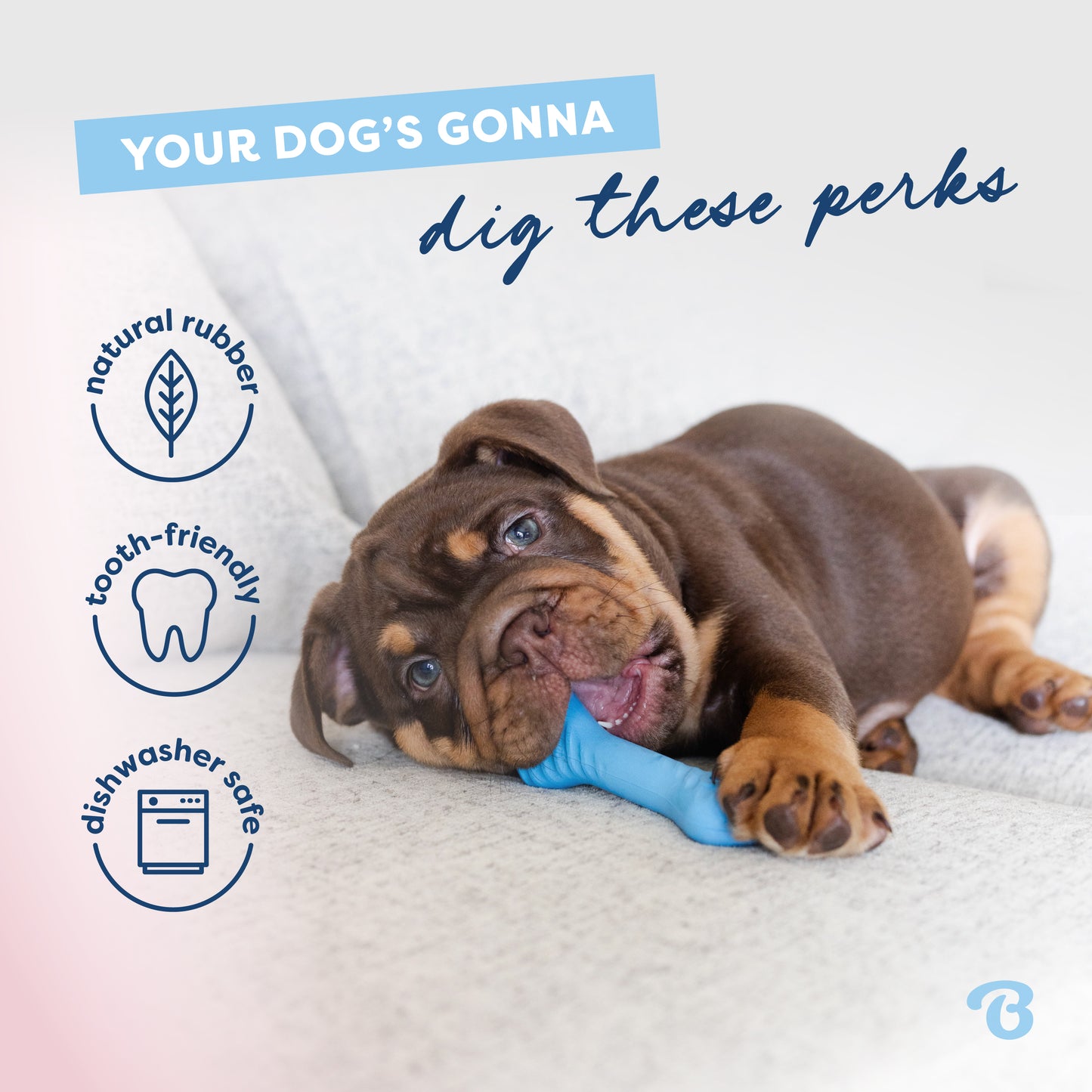 Your Dog's Gonna Dig These Perks: Natural Rubber, Tooth-Friendly, Dishwasher Safe.