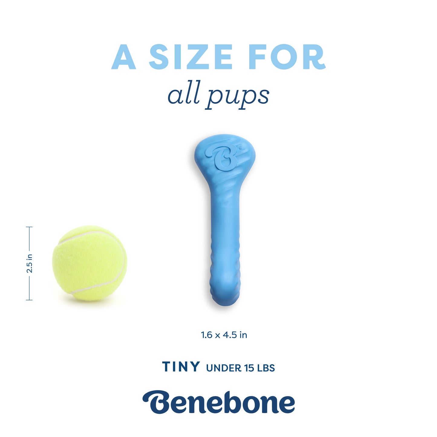 A Size for All Pups: The Benebone Bounce Rubber Puppy Bone is made for tiny dogs 15 lbs and under.