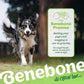 The Benebone promise. Getting your pup's tail wagging is our #1 priority. No wags? Reach out to us and we'll make it right. Australian Shepherd outside carrying a Benebone maplestick. Benebone it's chew love.