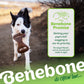 The Benebone promise. Getting your pup's tail wagging is our #1 priority. No wags? Reach out to us and we'll make it right. Dog outside with a Benebone dental chew in its mouth. Benebone it's chew love.