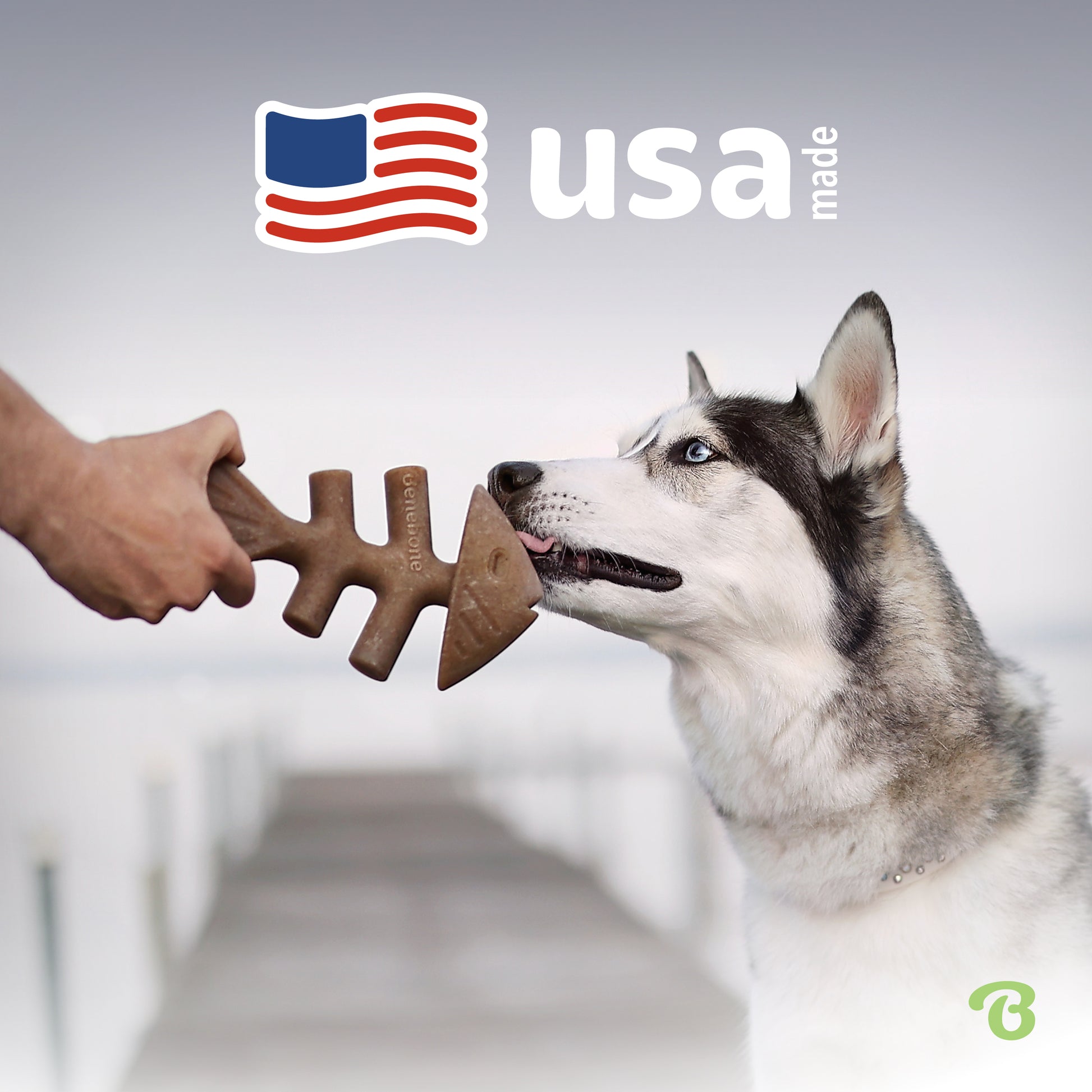 USA made. Husky licking a Benebone fishbone. 