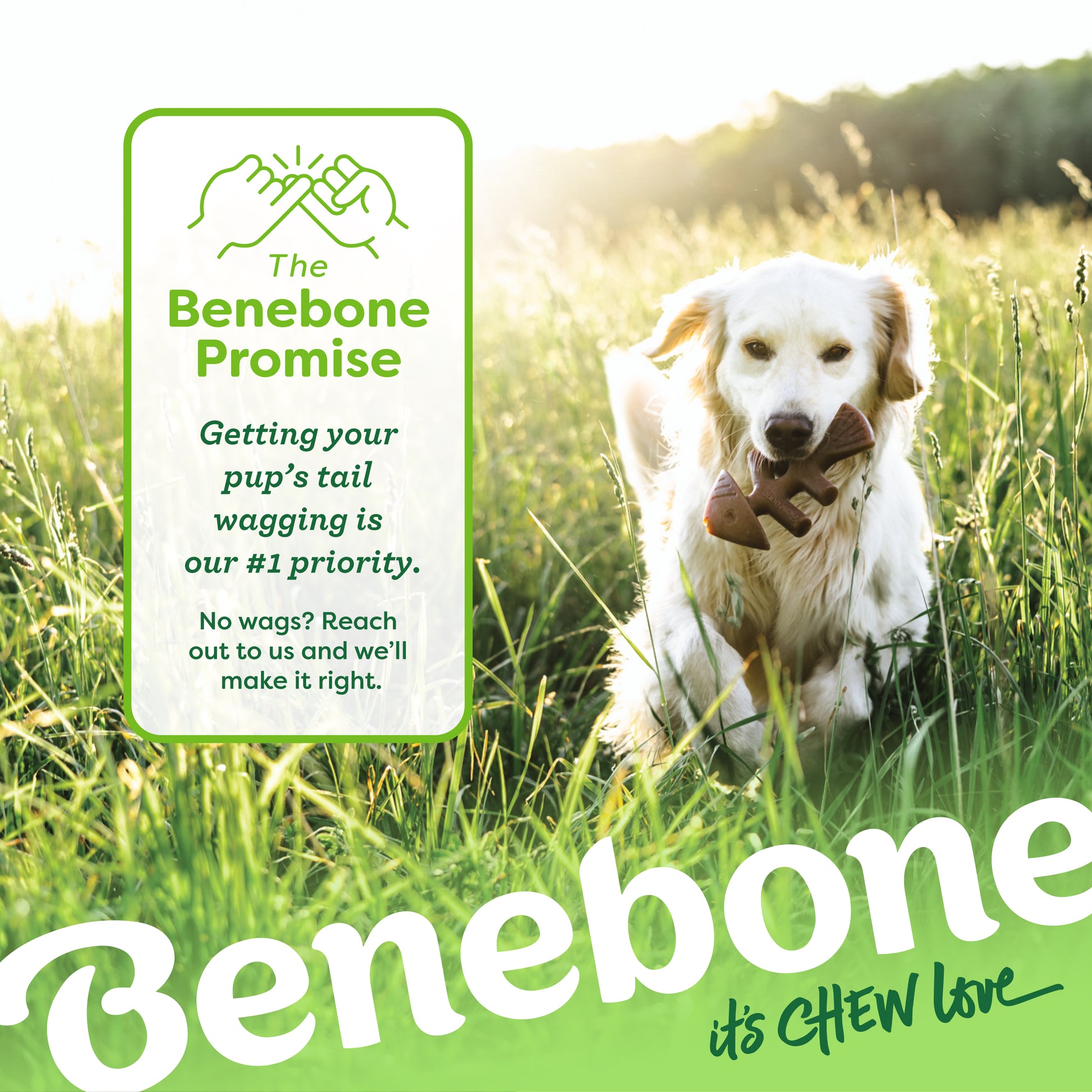 The Benebone promise. Getting your pup's tail wagging is our #1 priority. No wags? Reach out to us and we'll make it right. Golden Retriever carrying a Benebone fishbone in its mouth walking through the grass. Benebone it's chew love. 