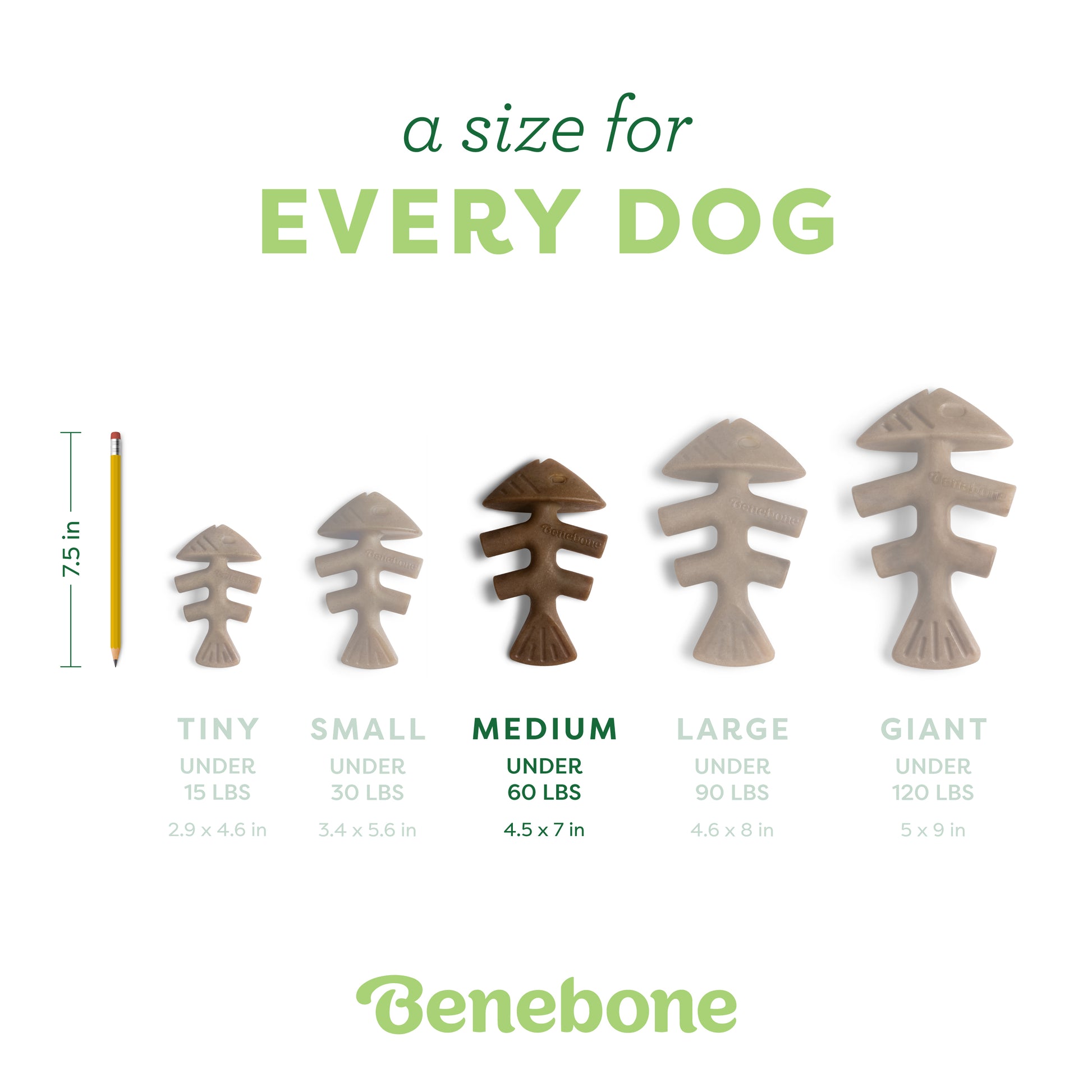 A size for every dog. Size guide: medium fishbone, under 60 lbs.