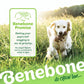 The Benebone promise. Getting your pup's tail wagging is our #1 priority. No wags? Reach out to us and we'll make it right. Golden Retriever carrying a Benebone fishbone in its mouth walking through the grass. Benebone it's chew love. 