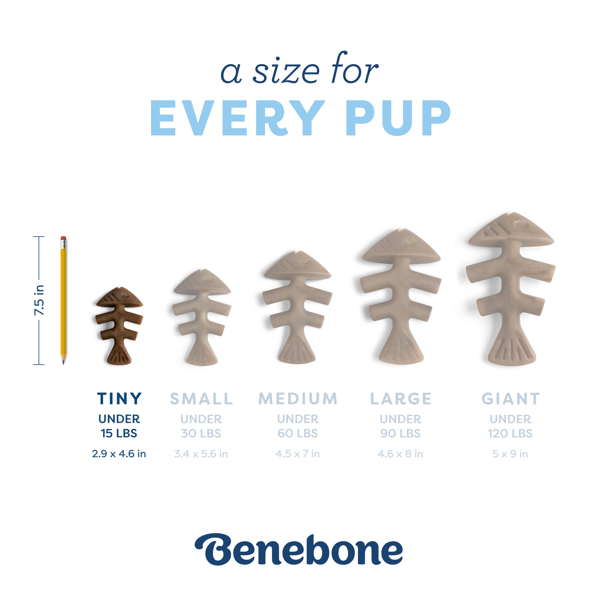 A size for every pup. Size guide, tiny fishbone, under 15 lbs.