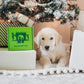Dog with Benebone holiday gift box