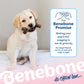The Benebone promise. Getting your pups tail wagging is our #1 priority. No wags? Reach out to us and we'll make it right. Labrador Retriever puppy chewing on Benebone maplestick. Benebone it's chew love.