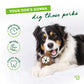 Your dog's gonna dig these perks. Long-lasting, durable, cleans teeth. Australian Shepherd chewing on Benebone pawplexer.