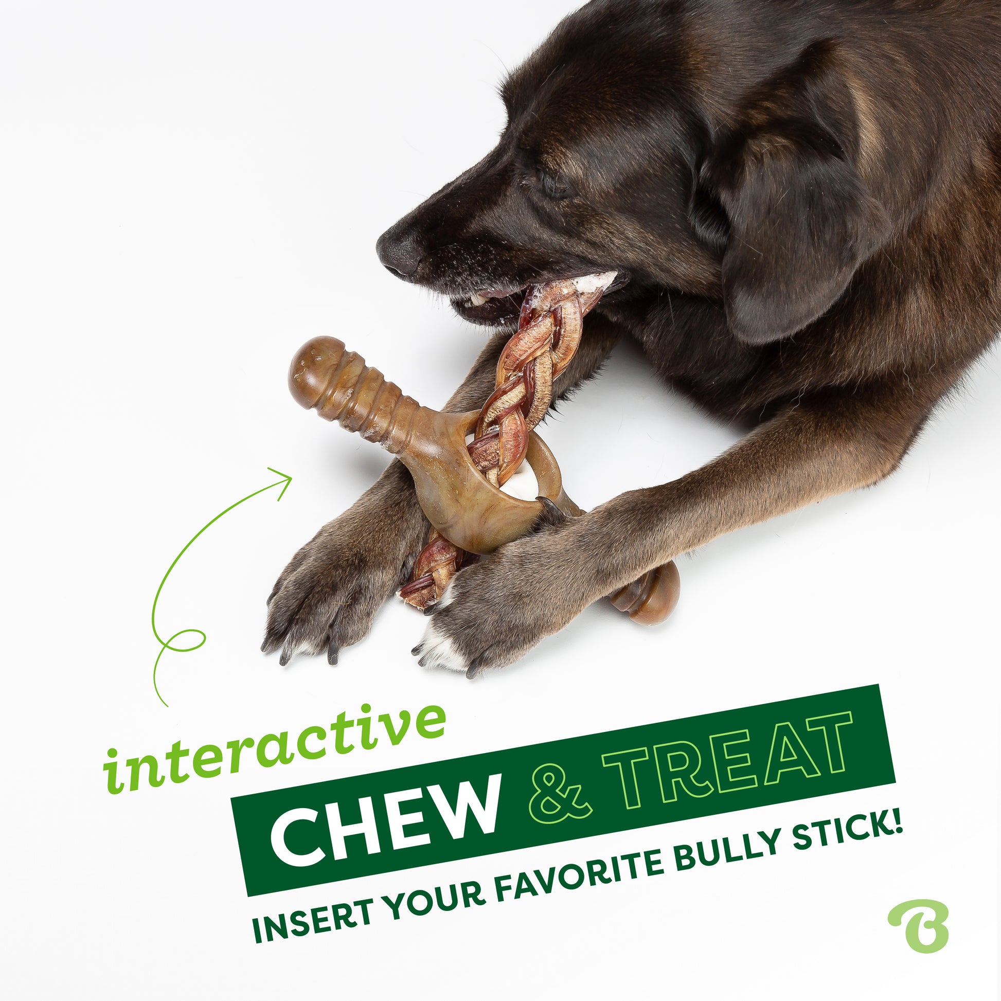 Interactive chew & treat. Insert your favorite bully stick! Dog laying on floor, chewing a bully stick inside the Benebone pawplexer.