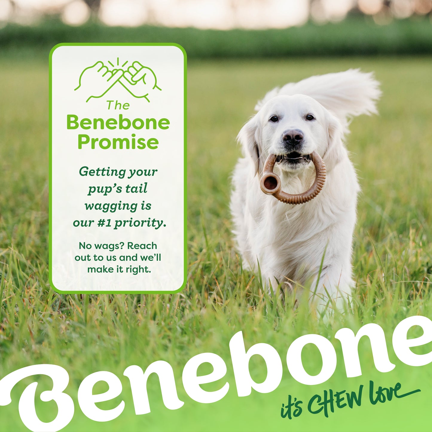 The Benebone promise. Getting your pup's tail wagging is our #1 priority. No wags? Reach out to us and we'll make it right. Golden Retriever carrying a Benebone ring in its mouth walking through the grass. Benebone it's chew love. 
