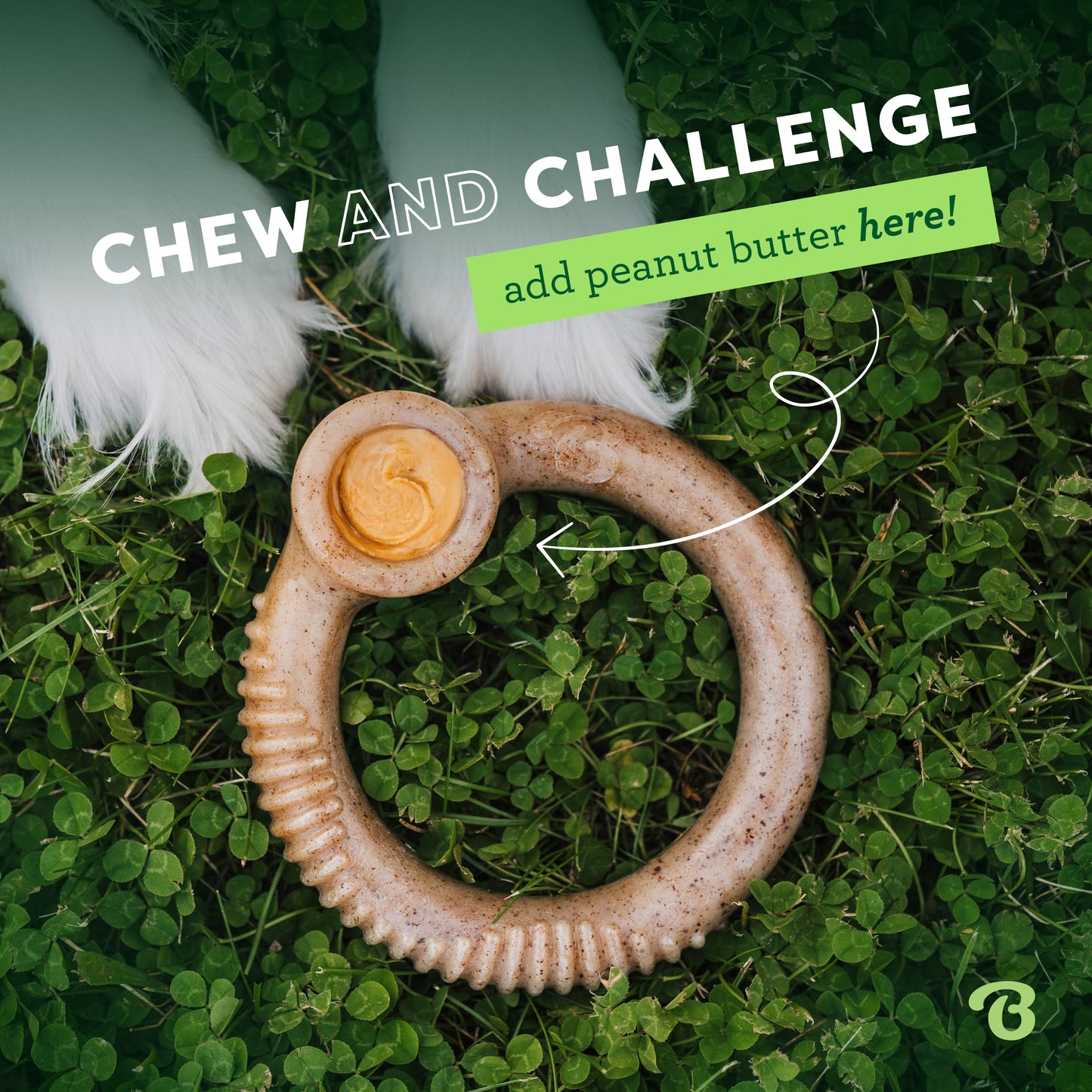 Chew and challenge. Add peanut butter here! Photo of a Benebone ring in the grass at a dog's paws with peanut butter in it. 