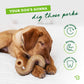 Image of dog chewing tripe bone. Text reads: Your dog’s gonna dig these perks. Long lasting, durable, cleans teeth.