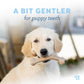 A Bit Gentler for Puppy Teeth: Golden Retriever puppy looking at camera holding a Puppy Wishbone in its mouth.