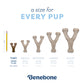 A Size for Every Pup: Tiny Wishbone (for dogs under 15 lbs)