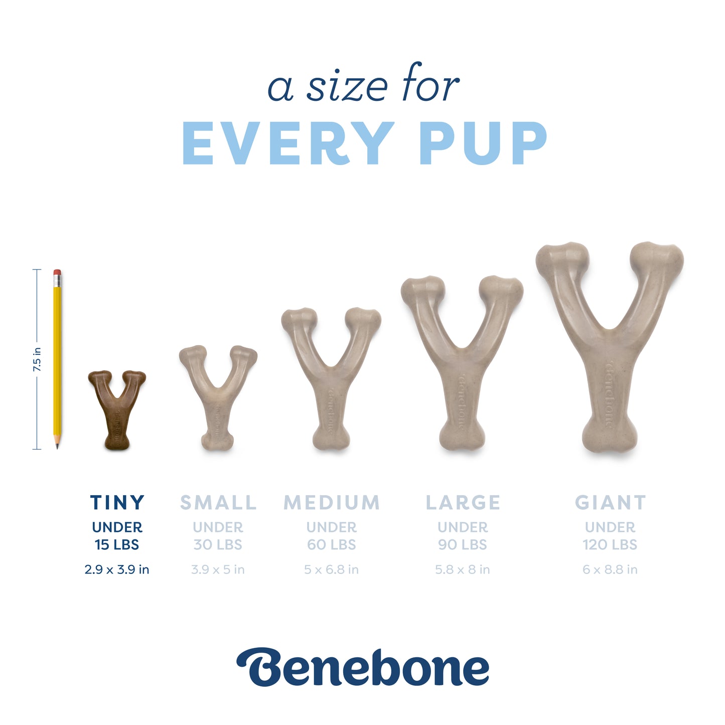 A Size for Every Pup: Tiny Wishbone (for dogs under 15 lbs)