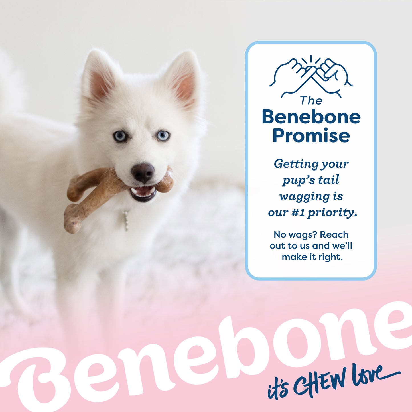 The Benebone Promise: Getting your pup's tail wagging is our #1 priority. No wags? Reach out to us and we'll make it right.