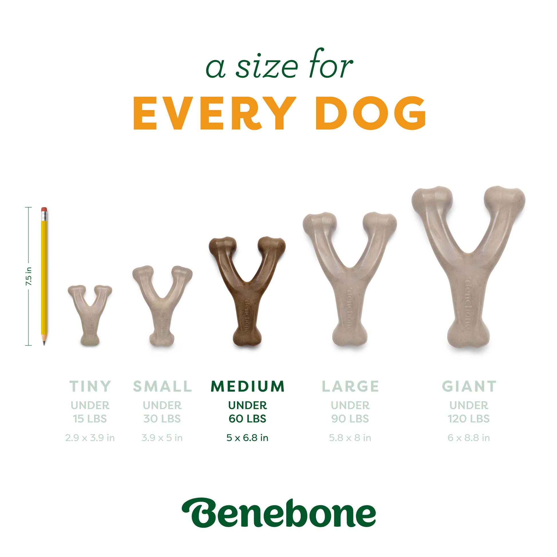 A size for every dog. The Pumpkin Spice Wishbone comes in size medium, for dogs under 60 lbs.