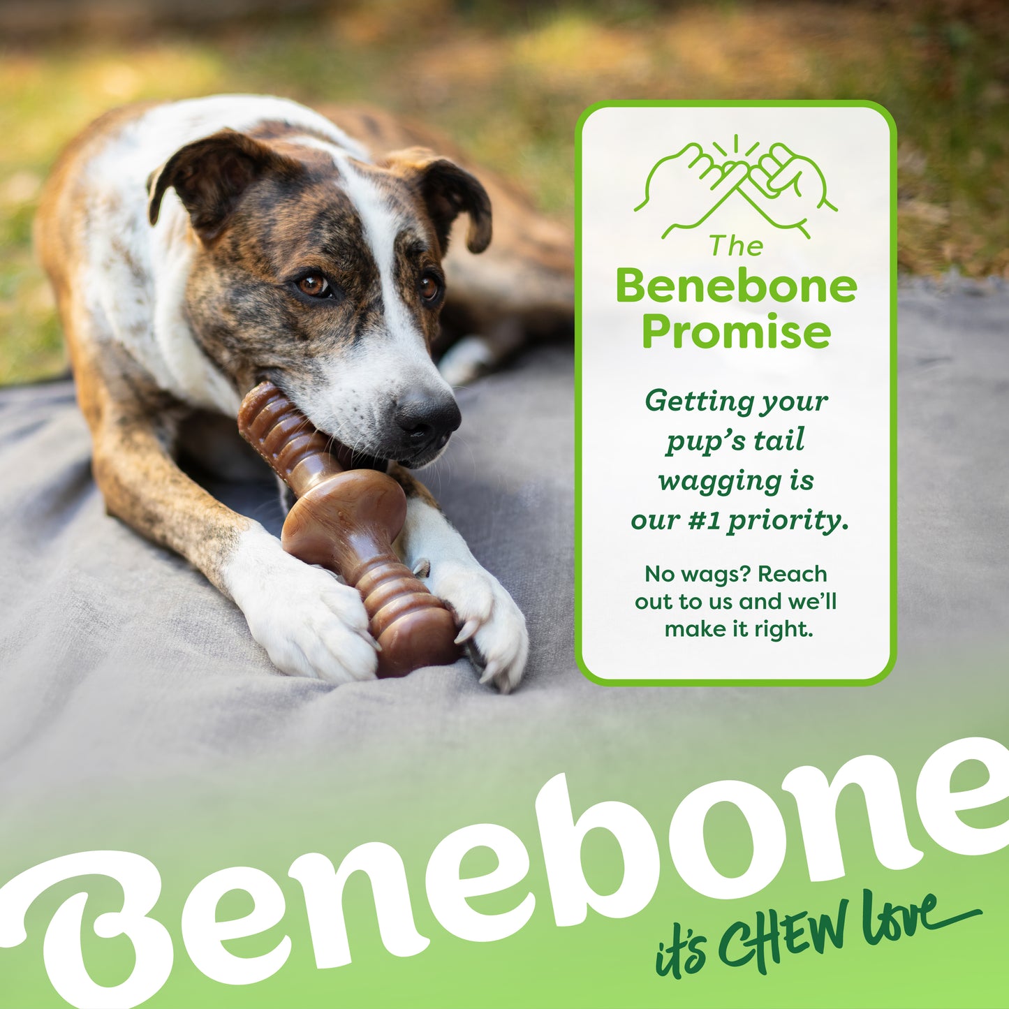 The Benebone promise. Getting your pup's tail wagging is our #1 priority. No wags? Reach out to us and we'll make it right. Catahoula Leopard on a blanket outside chewing on a Benebone zaggler.
