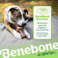 The Benebone promise. Getting your pup's tail wagging is our #1 priority. No wags? Reach out to us and we'll make it right. Catahoula Leopard on a blanket outside chewing on a Benebone zaggler. Benebone it's chew love.