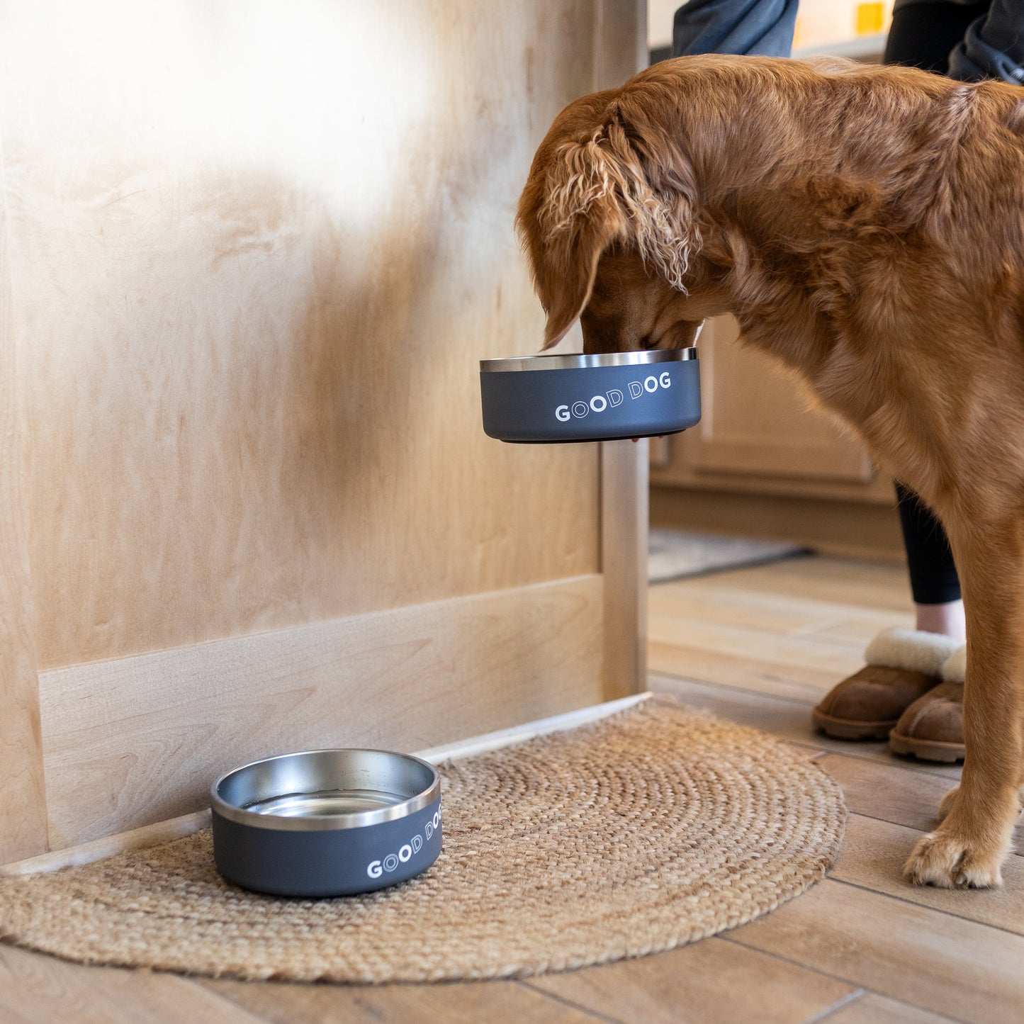 Dog with dog bowl with text good dog on it and a dog