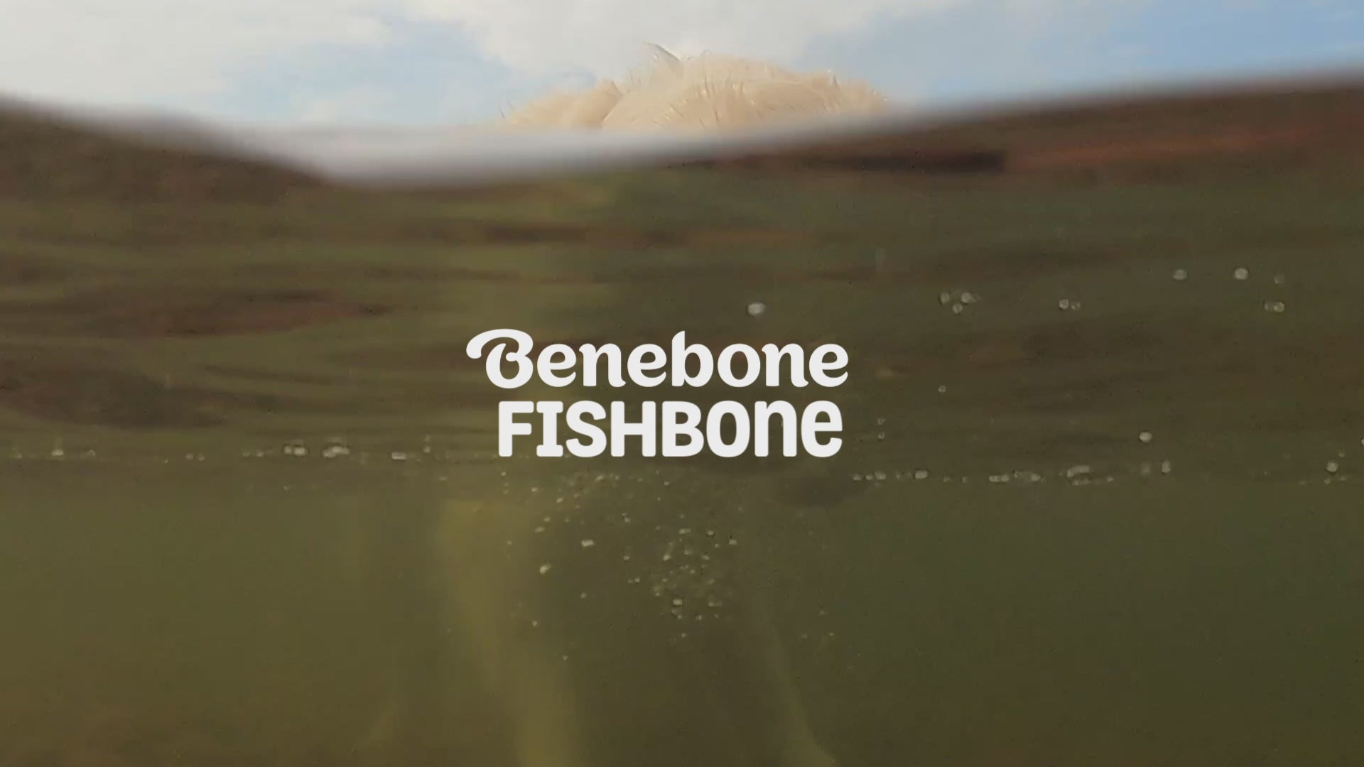 Benebone Fishbone video with music no talking. Video shows dogs interacting with Benebones. Video contains text that reads: Benebone Fishbone. Irresistible real jack salmon flavor. Real pieces of fish! Paw-friendly grips. A size for all dogs. Long-lasting fun. Benebone it’s chew love.