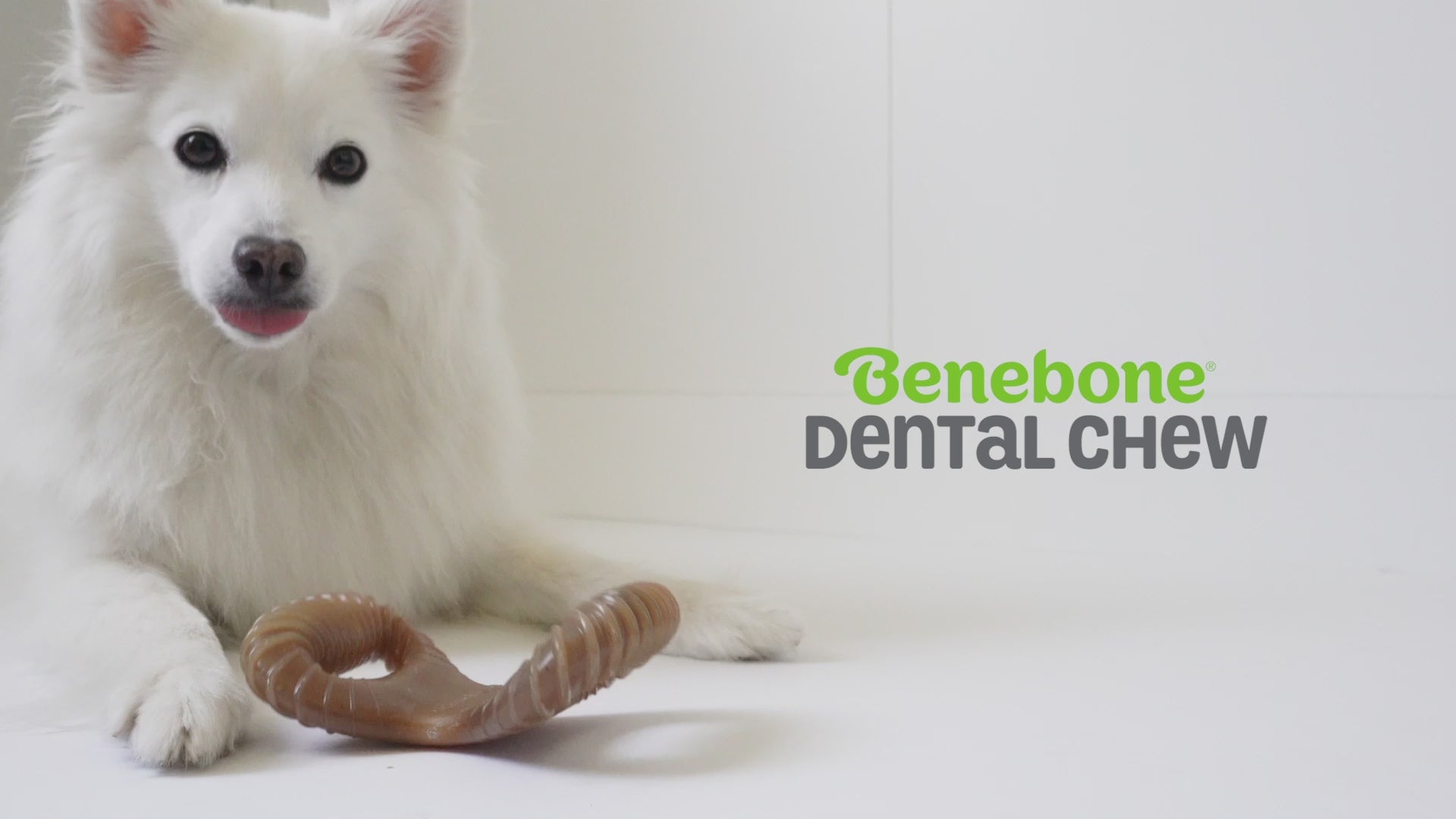 Benebone Dental Chew video with music no talking. Video shows dogs interacting with Benebones. Video contains text that reads: Benebone Dental Chew. Irresistible real flavors, bacon, peanut butter, chicken. Real pieces of bacon! Paw-friendly grips. Dental stimulation. Long-lasting fun. Stay playful Benebone logo.