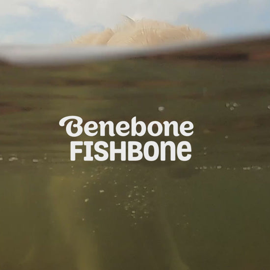 Benebone Fishbone video with music no talking. Video shows dogs interacting with Benebones. Video contains text that reads: Benebone Fishbone. Irresistible real jack salmon flavor. Real pieces of fish! Paw-friendly grips. A size for all dogs. Long-lasting fun. Benebone it’s chew love.