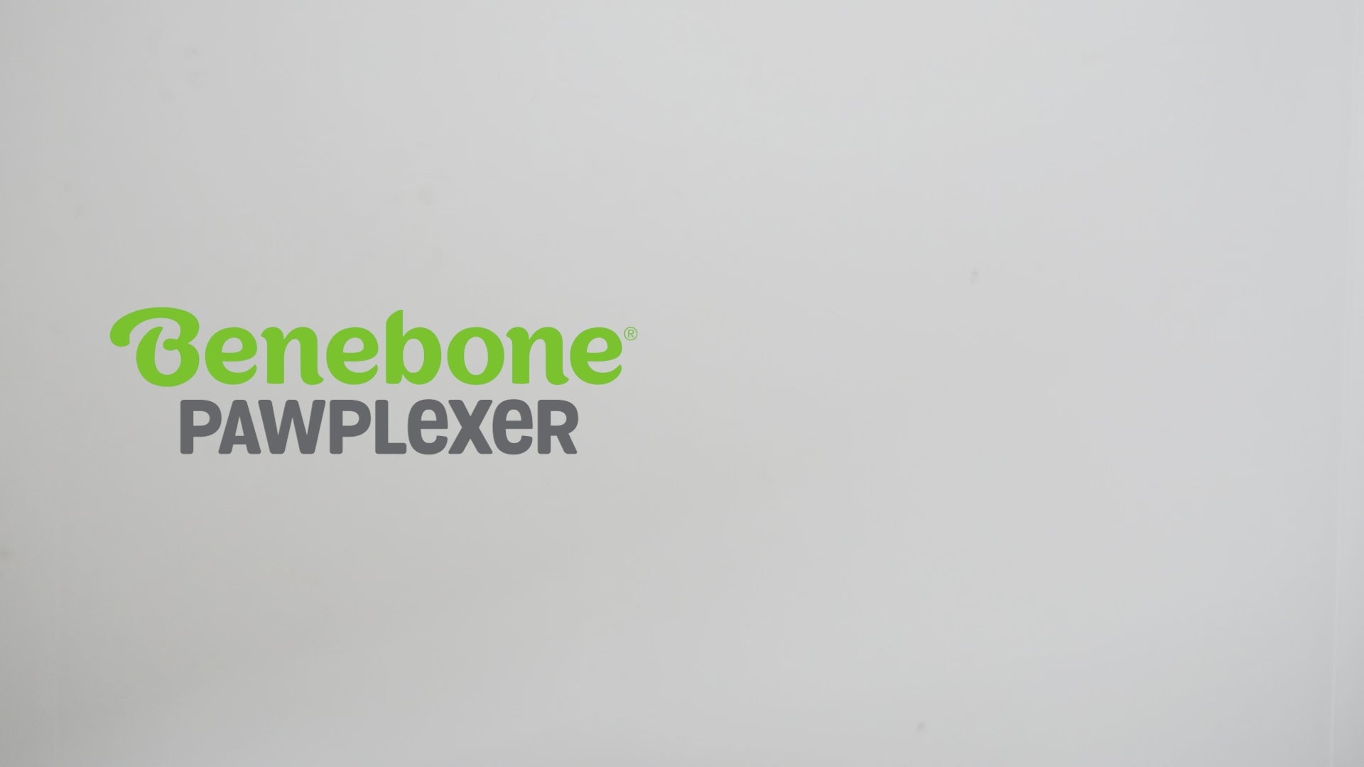 Benebone pawplexer video with music no talking. Video shows dogs interacting with Benebones. Video contains text that reads: Irresistible real flavors, bacon. Take your dog’s treat. Put into middle of Pawplexer. Stay playful Benebone logo.