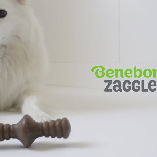 Benebone Zaggler video with music no talking. Video shows dogs interacting with Benebones. Video contains text that reads: Benebone Zaggler. Irresistible real flavors, bacon, peanut butter, chicken. Real pieces of bacon! Paw-friendly grips. Long-lasting fun. Stay playful Benebone logo.