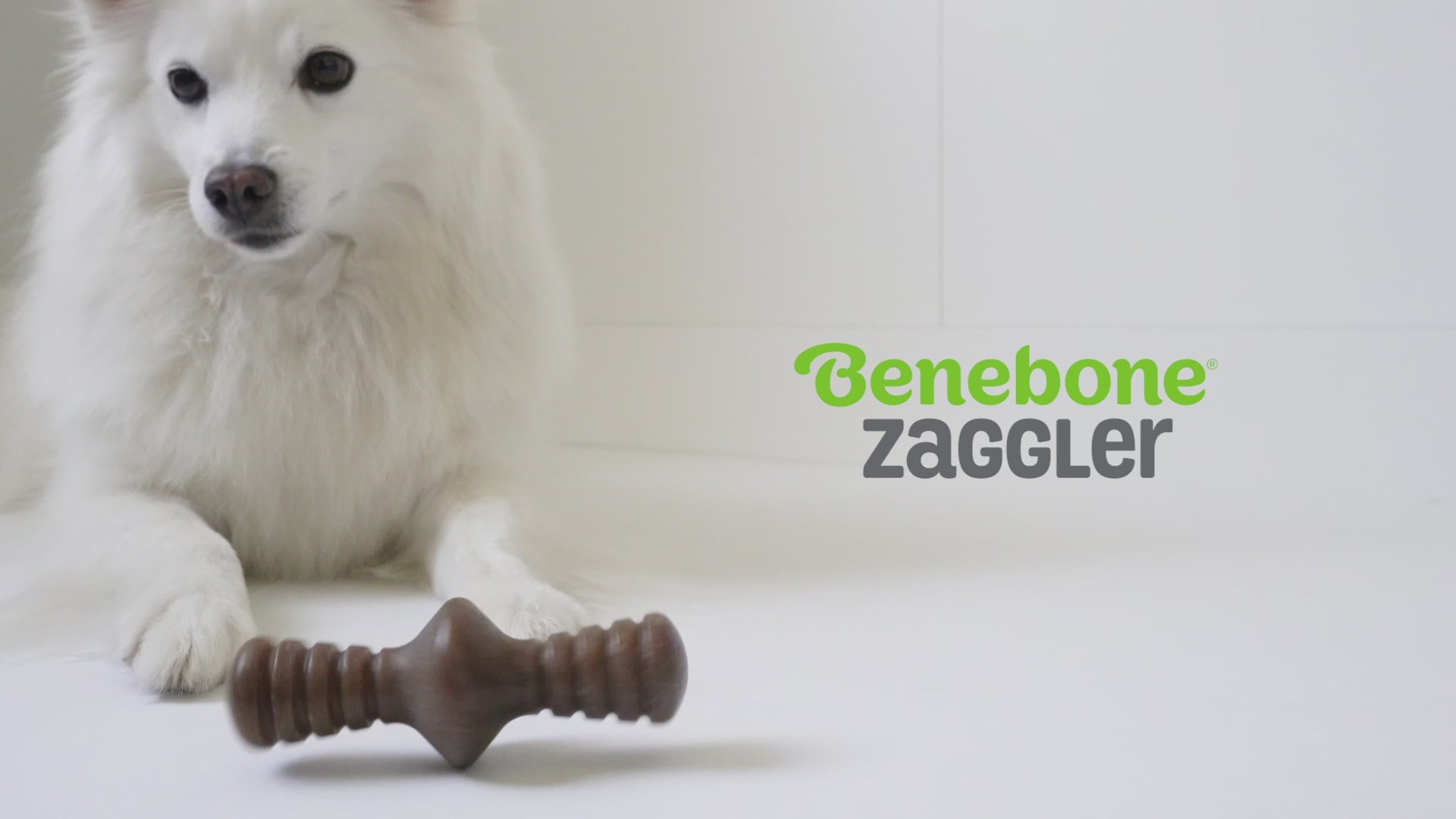 Benebone Zaggler video with music no talking. Video shows dogs interacting with Benebones. Video contains text that reads: Benebone Zaggler. Irresistible real flavors, bacon, peanut butter, chicken. Real pieces of bacon! Paw-friendly grips. Long-lasting fun. Stay playful Benebone logo.